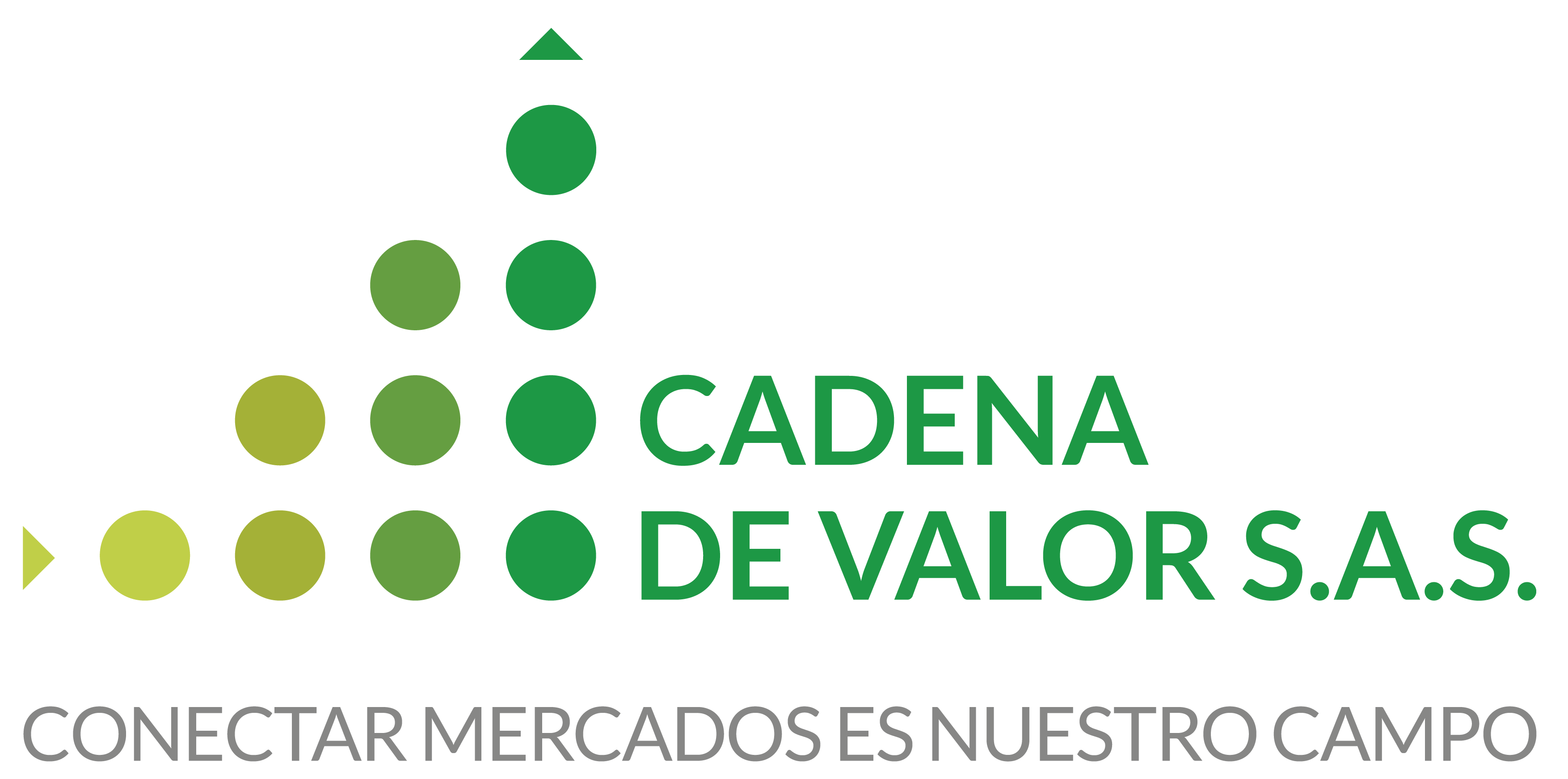 Cadena de Valor SAS